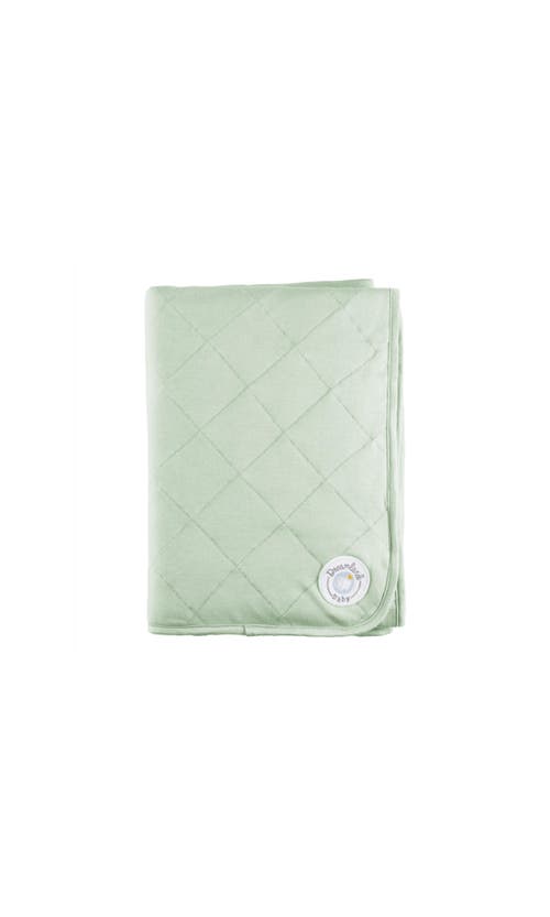 Dreamland Baby Dream  Baby Blanket In Sage Green