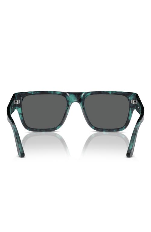 Shop Persol 55mm Square Sunglasses In Blue Havana