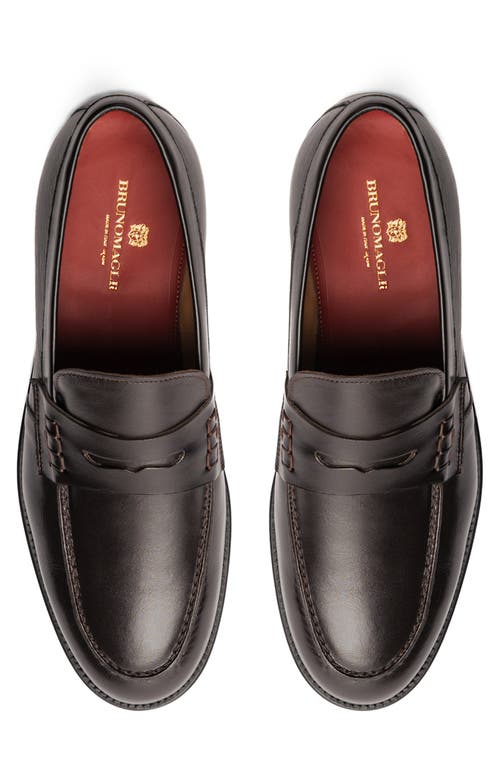 Shop Bruno Magli Carter Penny Loafer In Dark Brown Nappa