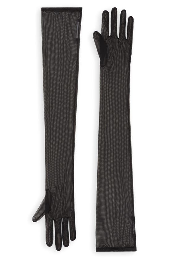 Dolce & Gabbana Long Stretch Tulle Gloves In Black