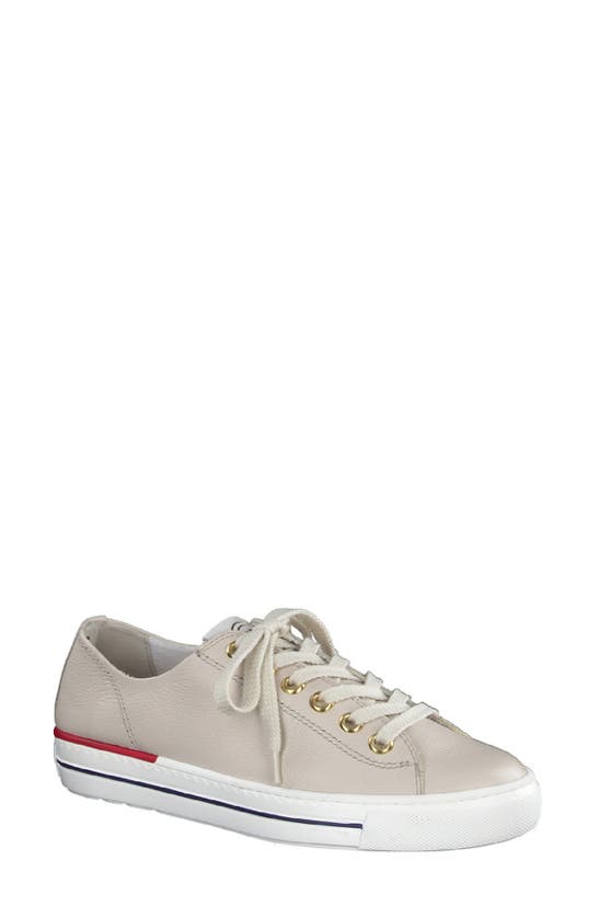 Paul Green Carly Low Top Sneaker In Biscuit Ice Combo