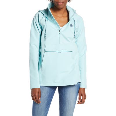 The North Face Tekno Ridge Hoodie, Blue