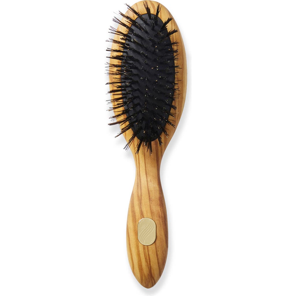 Altesse Studio Beaute Petite Repair & Shine Brush For Fine To Medium Hair In No Color
