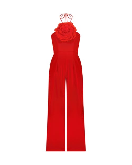 Shop Mac Duggal Crepe Halter Neck Flower Detail Jumpsuit In Cherry