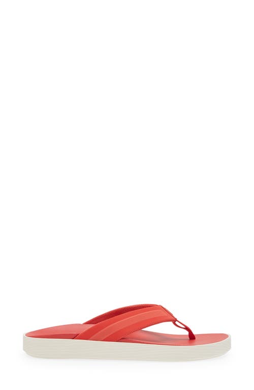 Shop Olukai Leeward Flip Flop In Red Lava/red Lava