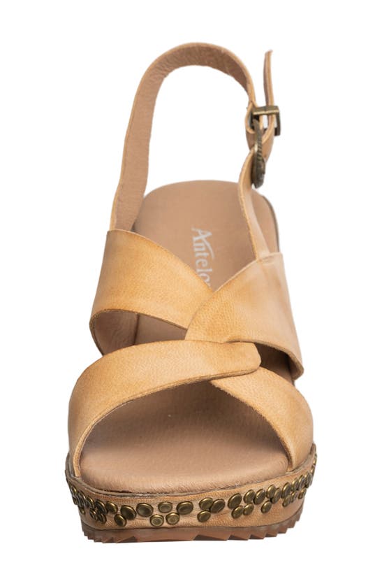 Shop Antelope Danessa Platform Wedge Slingback Sandal In Make Up Leather