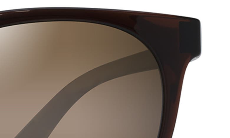 Shop Maui Jim Wailua 49mm Small Polarizedplus2® Round Sunglasses In Translucent Rootbeer