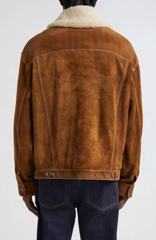 Shop Golden Goose Journey Suede Trucker Jacket With Removable Faux Shearling Collar In Tobacco Brown