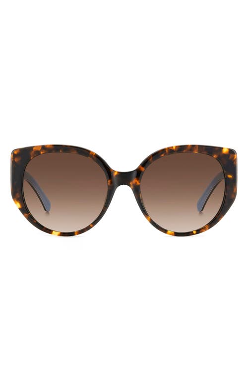 Kate Spade New York seraphina 55mm gradient round sunglasses in Havana/Brown Gradient at Nordstrom