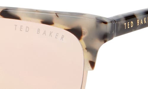 Shop Ted Baker London Full Rim Browline Sunglasses In Ivory