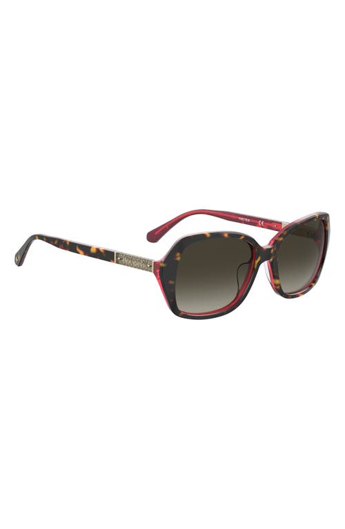 Shop Kate Spade New York Yvette 54mm Gradient Polarized Square Sunglasses In Havana Pink/brown Gradient