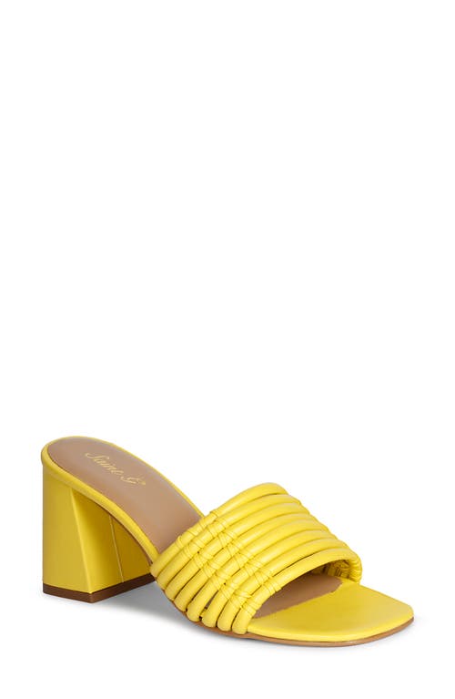 Bethany Block Heel Slide Sandal in Yellow
