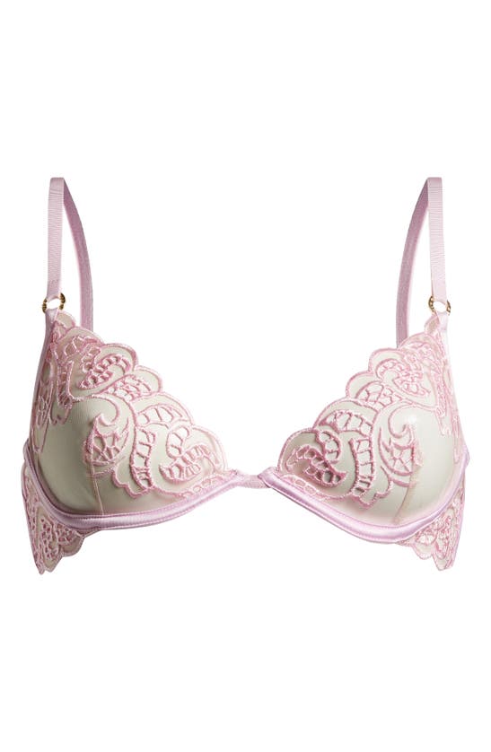 Shop Bluebella Cecily Embroidered Mesh Underwire Bra In Pirouette Pink/sheer