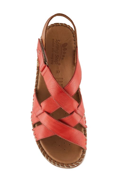 Spring Step Migula Slingback Wedge Sandal In Red