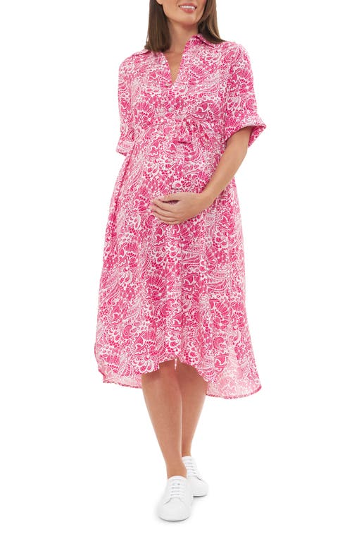 Shop Ripe Maternity Janis Maternity Shirtdress In Hot Pink/white