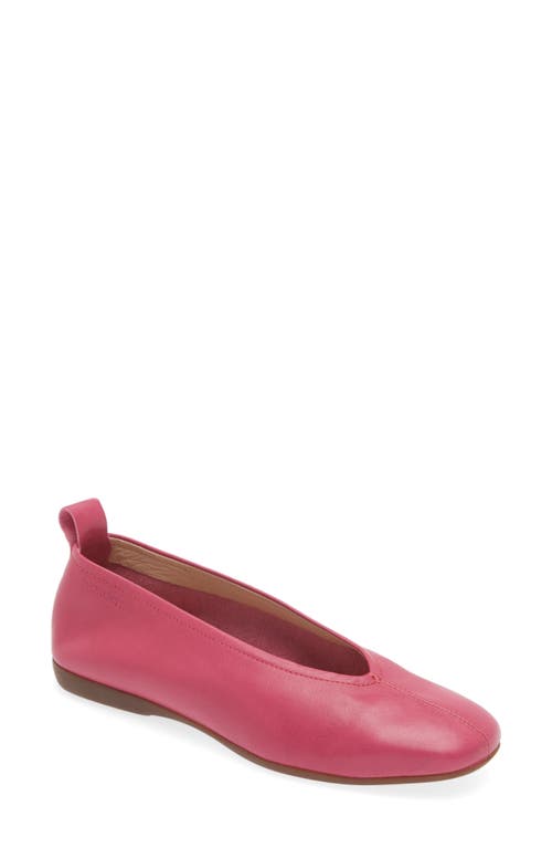 Ballet Flat in Sauvage Orchid