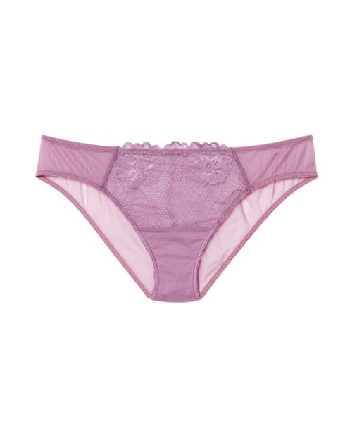 Shop Adore Me Marella Bikini Panties In Dark Purple