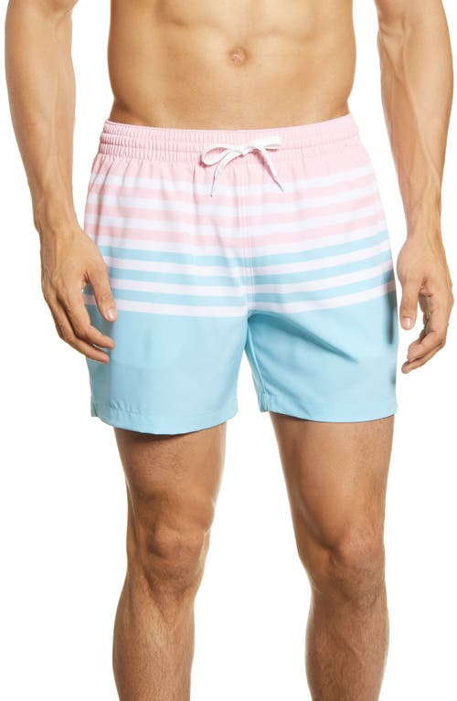 5.5-Inch Swim Trunks in The On The Horizons
