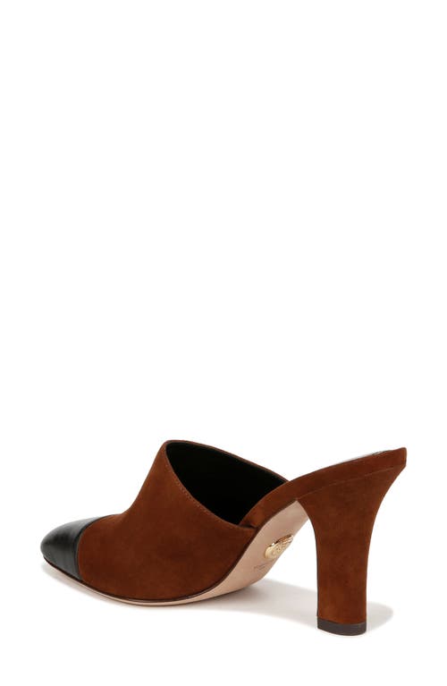 Veronica Beard Carlotta Cap Toe Mule In Black/cedar