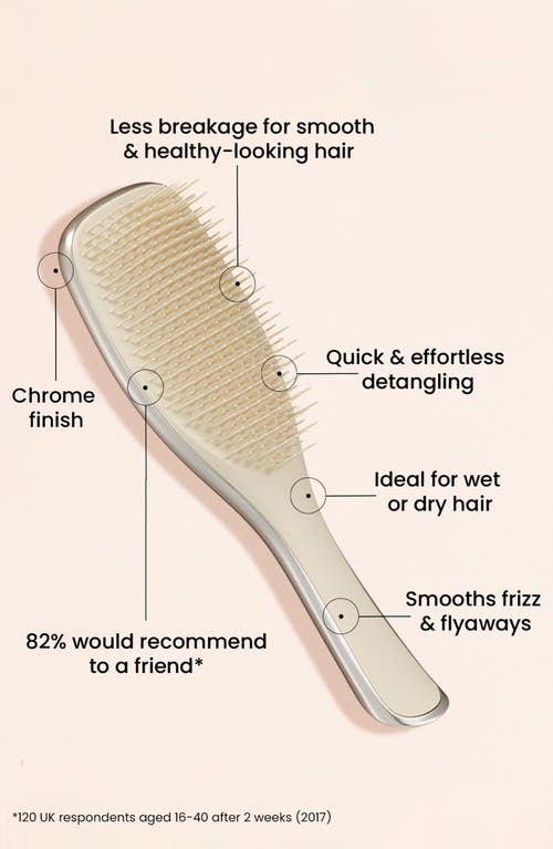 Tangle Teezer Ultimate Detangler Hairbrush In Champagne Gold