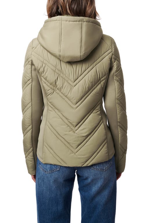 Shop Bernardo Hooded Puffer Jacket With Bib In Sage