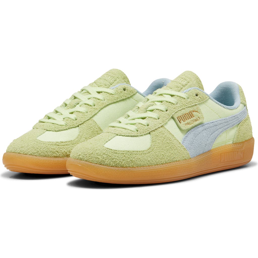 Puma Palermo Sneaker In Cool Cucumber-frosted Dew-gold