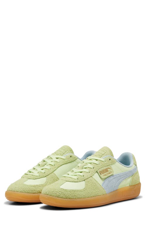 Shop Puma Palermo Sneaker In Cool Cucumber-frosted Dew-gold