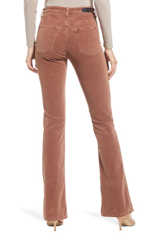 Ag Alexxis High Waist Bootcut Jeans In Sulfur Dark Walnut