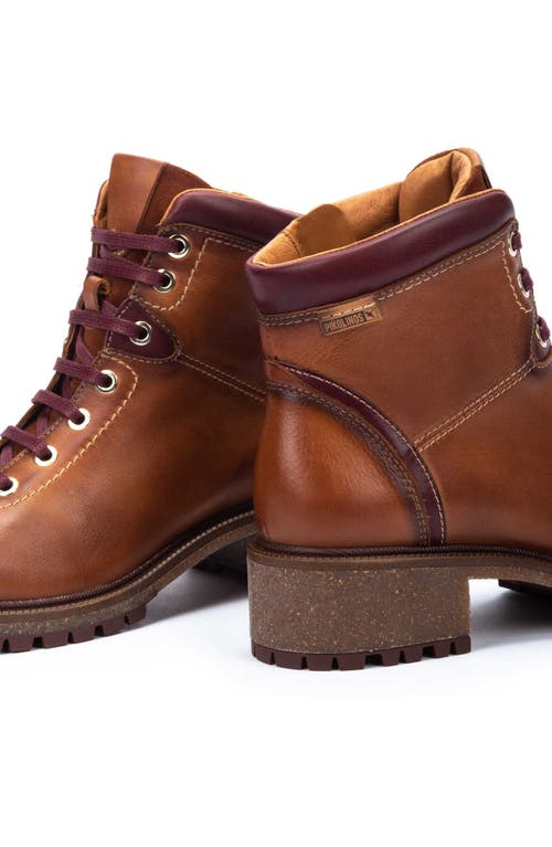 Pikolinos Aspe Bootie In Brandy