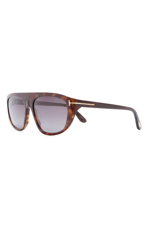 Tom Ford 58mm Pilot Sunglasses In Dark Havana/gradient Smoke