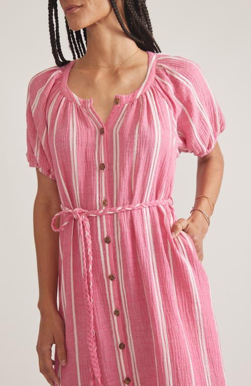 Marine Layer Stripe Belted Double Cloth Midi Shirtdress In Fuschia Stripe