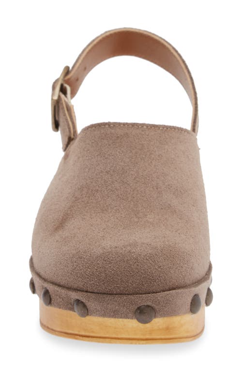 Cordani Wilkes Platform Clog In Fango Suede