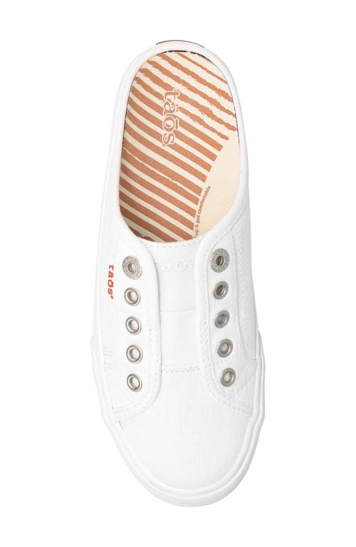 Taos Ez Soul Slip-on Sneaker In White