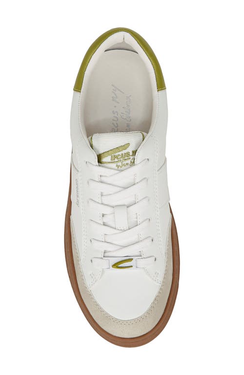 Shop Circus Ny By Sam Edelman Vance Sneaker In Bright White/cactus