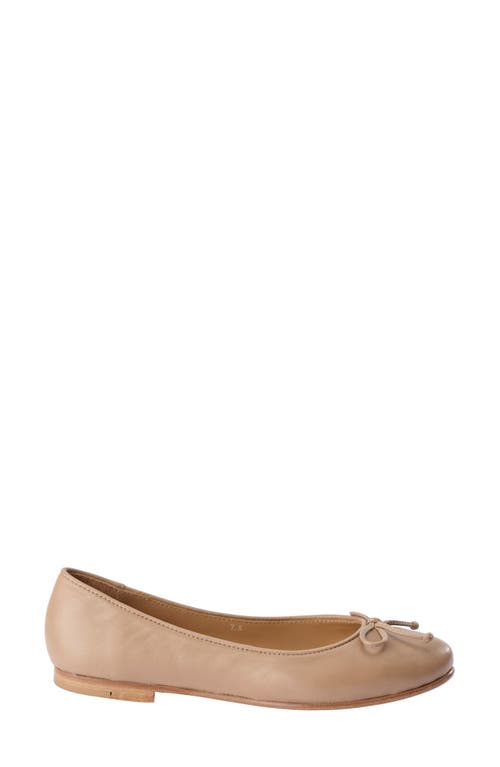 Nisolo Bea To Go Ballet Flat In Almond