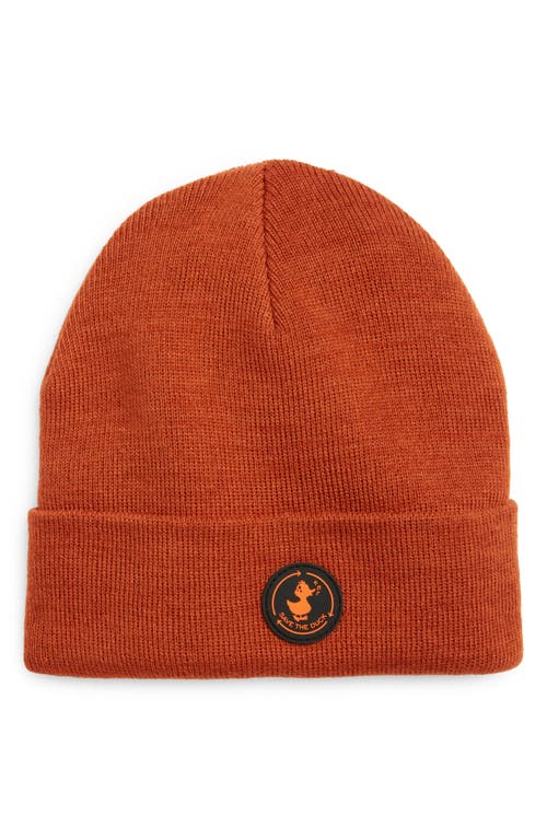 Save The Duck Kids' Fivel Cuffed Beanie In Maple Orange