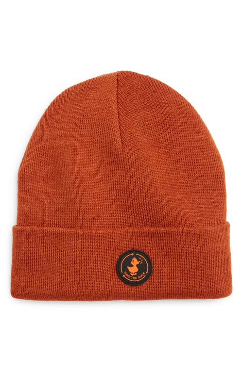 Save The Duck Kids' Fivel Cuffed Beanie In Orange