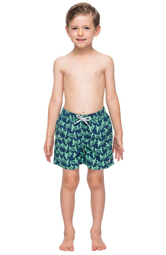 Shop Tom & Teddy Kids' Turtle Print Swim Trunks In Navy Green