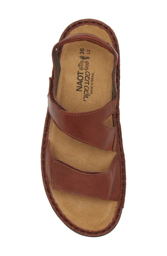 Shop Naot Enid Sandal In Soft Chestnut Leather
