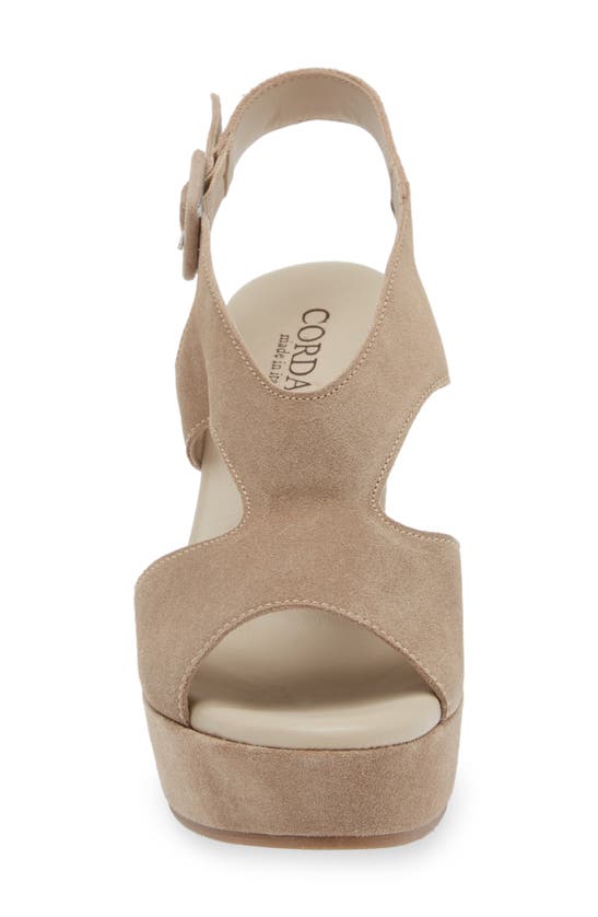 Shop Cordani Taylin Platform Sandal In Tortora Suede