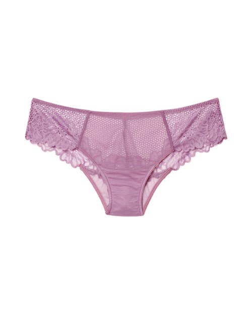 Shop Adore Me Marella Cheeky Panties In Dark Purple