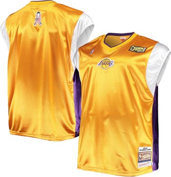 Men's Nike Purple Los Angeles Lakers Long Sleeve Shooting Performance Shirt