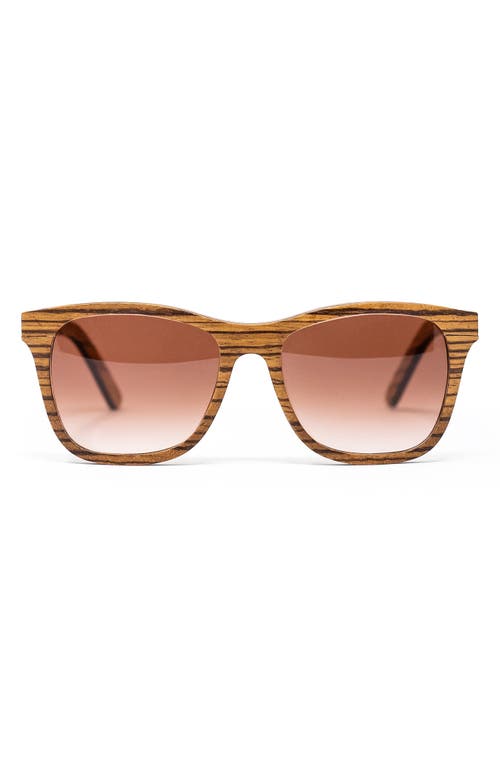 Bôhten Barklae 51mm Gradient Square Zebrawood Blue Light Blocking Sunglasses in Brown /Brown Gradient