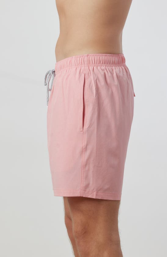 Rainforest Not Your Average Solid Swim Trunks In Flamingo Pink