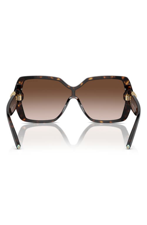 Tiffany & Co . 129mm Gradient Pillow Sunglasses In Havana