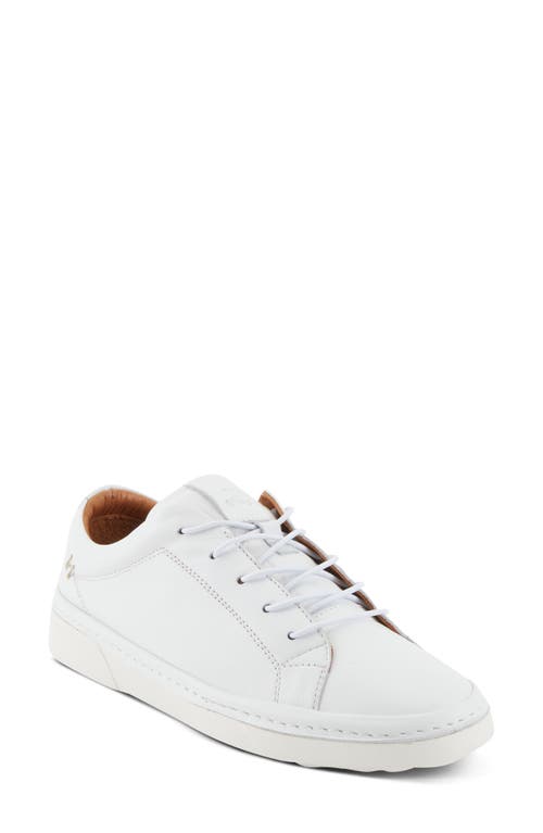 Shop Spring Step Picasa Sneaker In White