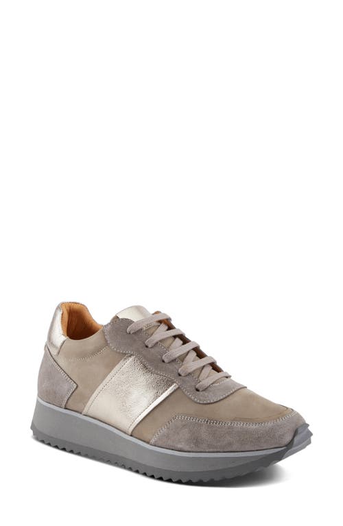 Spring Step Compter Sneaker In Grey Suede
