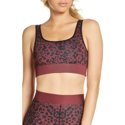 Cor Designed By Ultracor Leopard Print Sports Bra