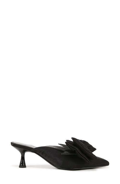 Circus Ny By Sam Edelman Fiona Pointed Toe Mule In Black