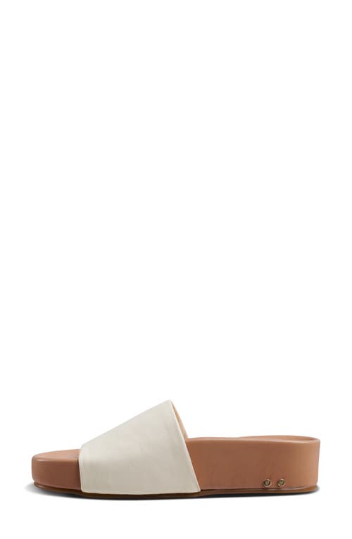 Shop Beek Pelican Platform Slide Sandal In Eggshell/beach